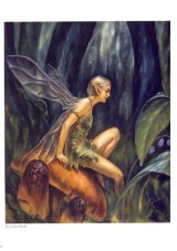 BUY NEW shinobu tanno - 173280 Premium Anime Print Poster